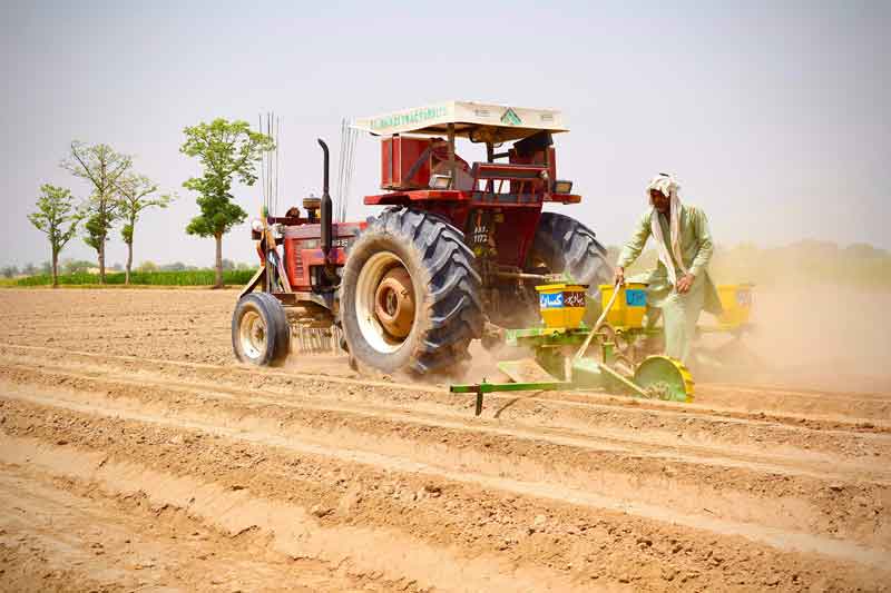 agriculture image